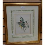 Large collection of botanical prints, lithographs and engravings.