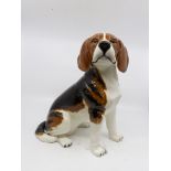 A large Beswick Beagle, seated,