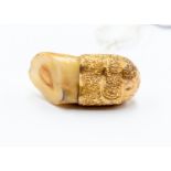 Equestrian Interest - A horse tooth set in gold,