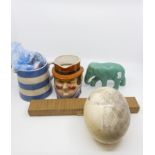 An interesting collection; one ostrich egg, with a sketch of an elephant,