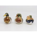 Royal Crown Derby paperweights Caroline Duck, Mandarin Duck,