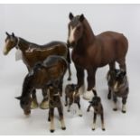 Beswick Burnham Beauty model together with Shetland pony and foal, shire and foal,