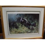 David Shepherd print, 'Mountain Gorillas of Rwanda', signed and numbered, framed and glazed.
