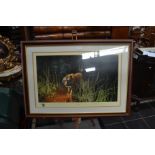 David Shepherd print, 'Jungle Gentleman', with signature and print number, framed and glazed.