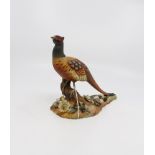 A Royal Crown Derby pheasant, painted by L.