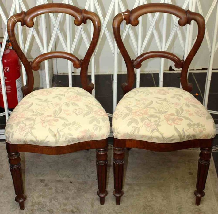 A set of six Victorian mahogany dining chairs of balloon back form, raised on turned legs (6) AF
