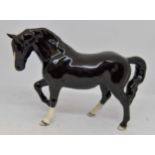 Beswick Black Jog Mare, BCC2005, limited edition No obvious signs of damage or restoration.