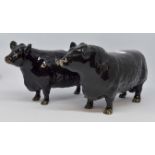 Beswick Aberdeen Angus Bull, gloss number 1562, height approx 11 cms,