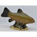 Beswick limited edition of a model of a Tench,