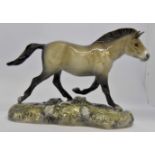 Beswick; Przewalski's Wild Horse figurine, limited edition number 339 of 1000,