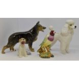 Beswick figurines including; poodle, Gouldian Finch (wings in), small dog,