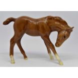 Beswick chestnut foal, large, head down, number 947. Height 4.5 inches Glazed over chip to left ear.