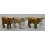 Beswick Charolais Calf, number 1827B, two Highland Calves,