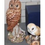 A crown Derby owl and Doulton owl (2) perfect condition
