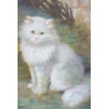 Lilian Perkins (British, early 20th Century), a long haired white cat,signed l.c., pastel, 31 by