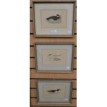 A set of three 19th Century hand coloured ornithology prints, framed (3)