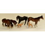 A collection of Beswick Horses to include: Bay Foal, large head down 4.5 inch approx (chipped ear) :