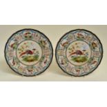 A pair of early 20th Century Royal Doulton plates, hand painted with birds of paradise, the