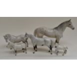 A group of Beswick grey horses/ponies including Percheron in show along with Welsh Mountain and