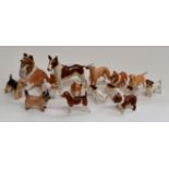 A group of Beswick dogs including Airdale, Fox Hounds, Trriers, Corgi, French Bulldog, Bulldog,