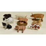 Collection of ornamental pigs including Royal Crown Derby, Beswick etc (Q)