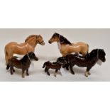 A group of five Beswick ponies including Highland Dun, Icelandic and three bay Shetlands (5) chips