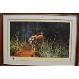 David Shepherd print, 'Jungle Gentleman', with signature and print number, framed and glazed.