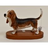 A Beswick Basset Hound on wooden stand