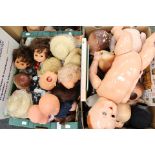 A collection of doll parts, heads and bodies, plus three toy and doll books, along with an English