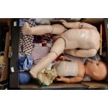 A collection of assorted dolls heads and bodies to include, including Palitoy Pippa Doll, Mandy (1