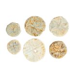 Six cast lead-alloy tokens dating to the Post-Medieval period, c. 1500-1800. Various designs (