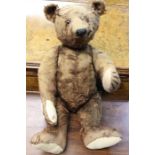 Steiff 20" Bear, circa 1920, button in ear