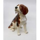 Beswick beagle, number 2300, 32 cms high approx