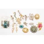 A collection of brooches including grousefoot, seahorses, dolphin, marcasite and paste etc (