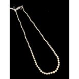 A graduated string of cultured pearls, on a 9ct white gold clasp set with small diamond to the