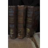 Badminton library; three volumes comprising; Big Game Hunting, Fishing and Yachting (3)