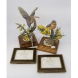 Two Royal Worcester figures of redstart hen and cock, by Dorothy Doughty, both with wooden boxes and