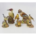 Five Royal Worcester models of garden birds, woodpecker, jay, blue tit, coal tit, yellow hammer - no