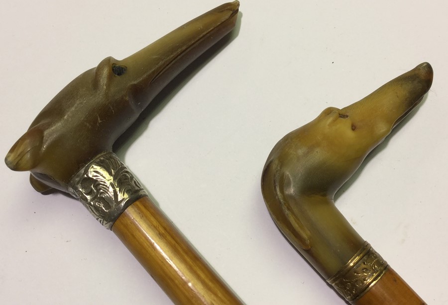 Two Bamboo walking canes with horn handles carved in the form of Whippet/Greyhound dogs heads, glass - Image 2 of 4