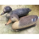 10 plastic Mallard duck hunting decoys.