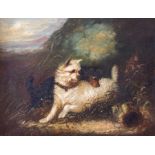 Edward Armfield (British, 1817-1896), terriers by a rabbit hole, bears signature l.l., oil on