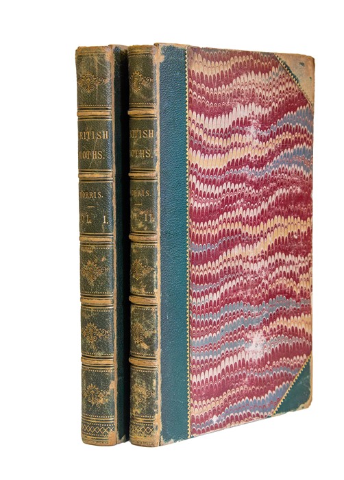 Morris, The Rev. F. O. A Natural History of British Moths, two volumes, London: Longman, 1861-