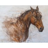 Gary Benfield, original oil "Mr Mac", a portrait of a horse. Framed and glazed. Signed by the