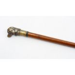 A late 19th/early 20th Century walking cane, cast brass dog head pommel, malacca shaft metal ferule,
