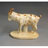 A Brampton saltglaze model of a goat standing on a  base, early 19th Century, 14cm wide, 11cm high