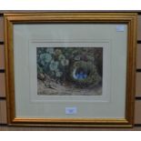 William Henry Hunt Ows, 1790-1864, Birds Nest watercolour, 17 x 22.5 cms approx, signed lower right,
