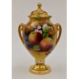 Brookdale lidded urn, still life of fruit painted by J. Mottram, no damage or restoration, gilding