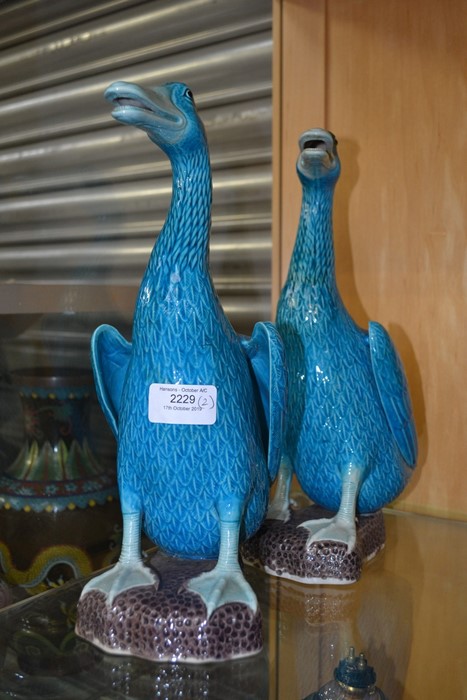 A pair of Chinese ducks