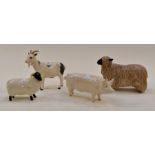 Group of Beswick animal statues to include pig, two sheep and a goat