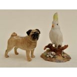 A Royal Crown Derby cockatoo, along with a Beswick figure of a pug